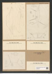 Odontotropis sp. (de-Toni-Nr.: Genus 124) Zeichnungen Sammlung Grunow Nr. 7003 (NHMW-BOT-W0375915)
